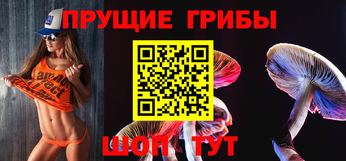Псилоцибиновые грибы Magic Shrooms  Вход с VPN  цена   Новошахтинск 